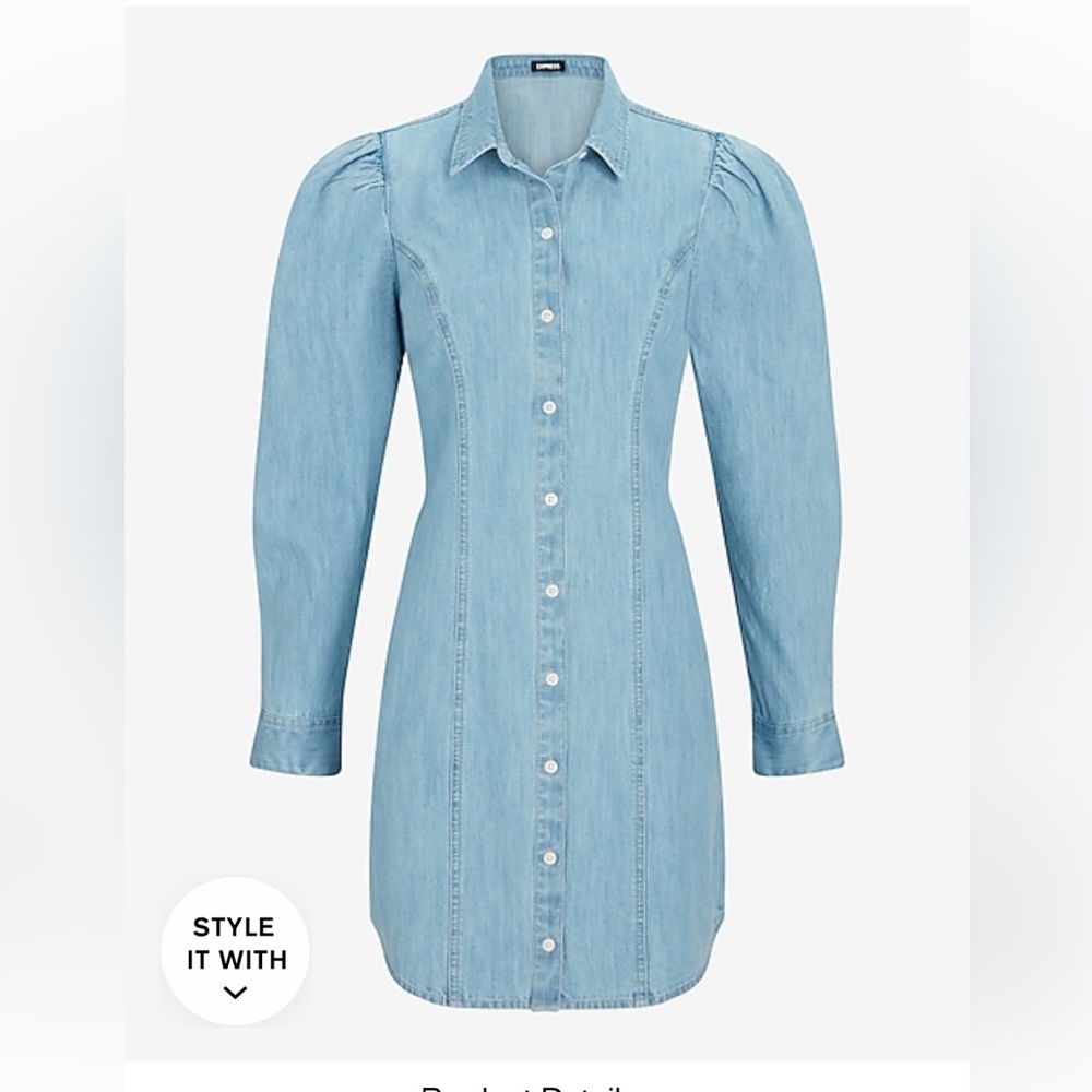 Express Jean dress